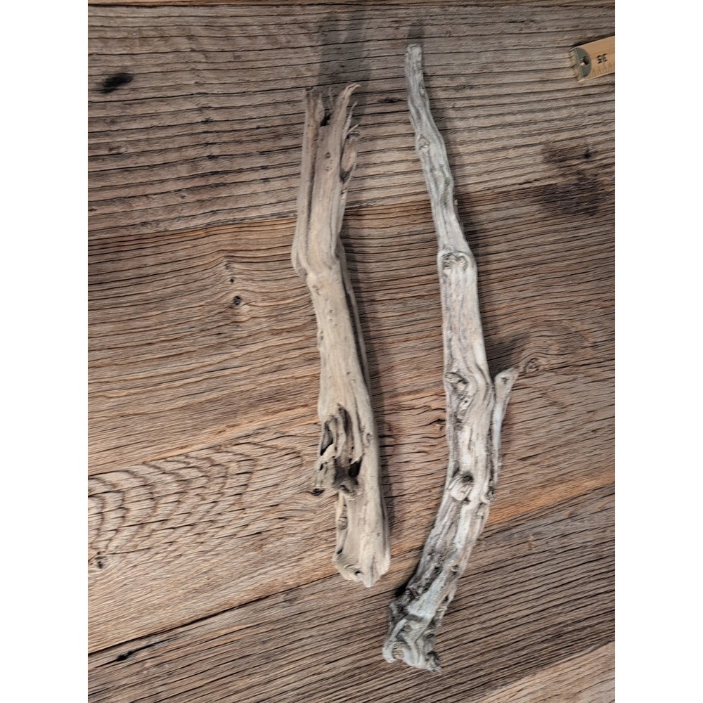Natural Drift Wood So California Beach 2 Pieces Coastal Decor Garden Ocean